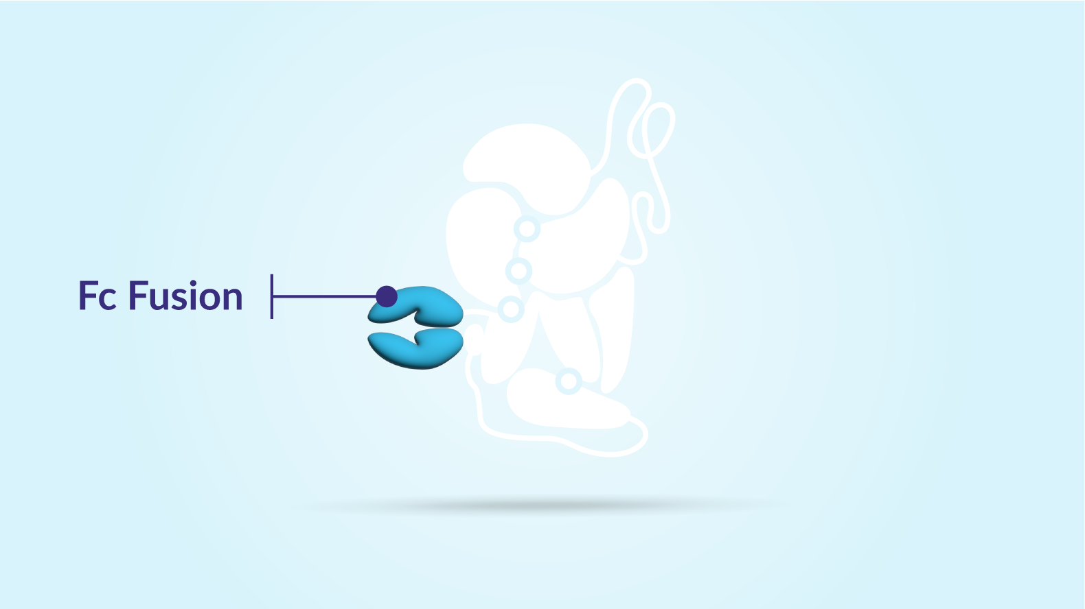 Graphic of ALTUVIIIO molecule highlighting Fc Fusion portion of molecule