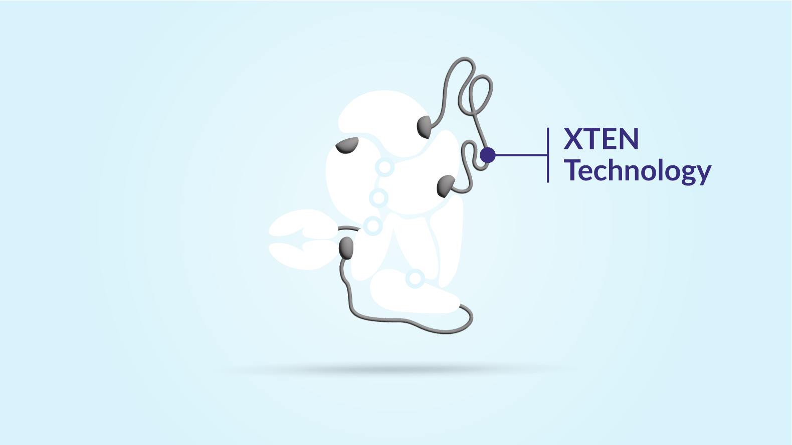 Graphic of ALTUVIIIO molecule highlighting XTEN Technology portion of molecule