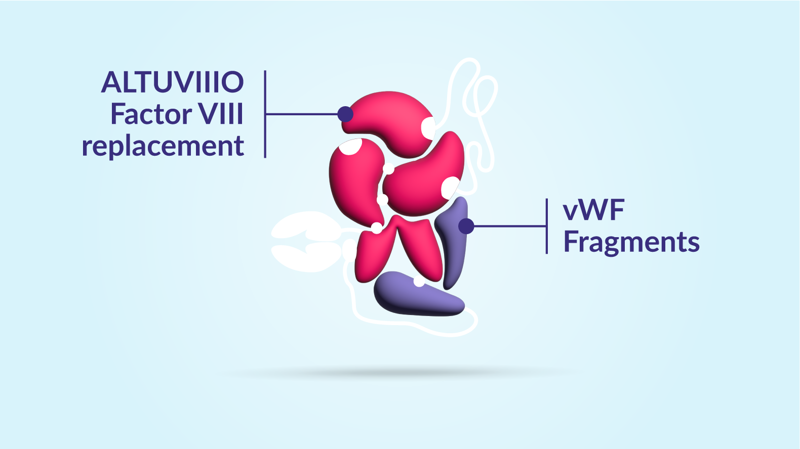 Graphic of ALTUVIIIO molecule highlighting ALTUVIIIO portion and vWF Fragments portion of molecule