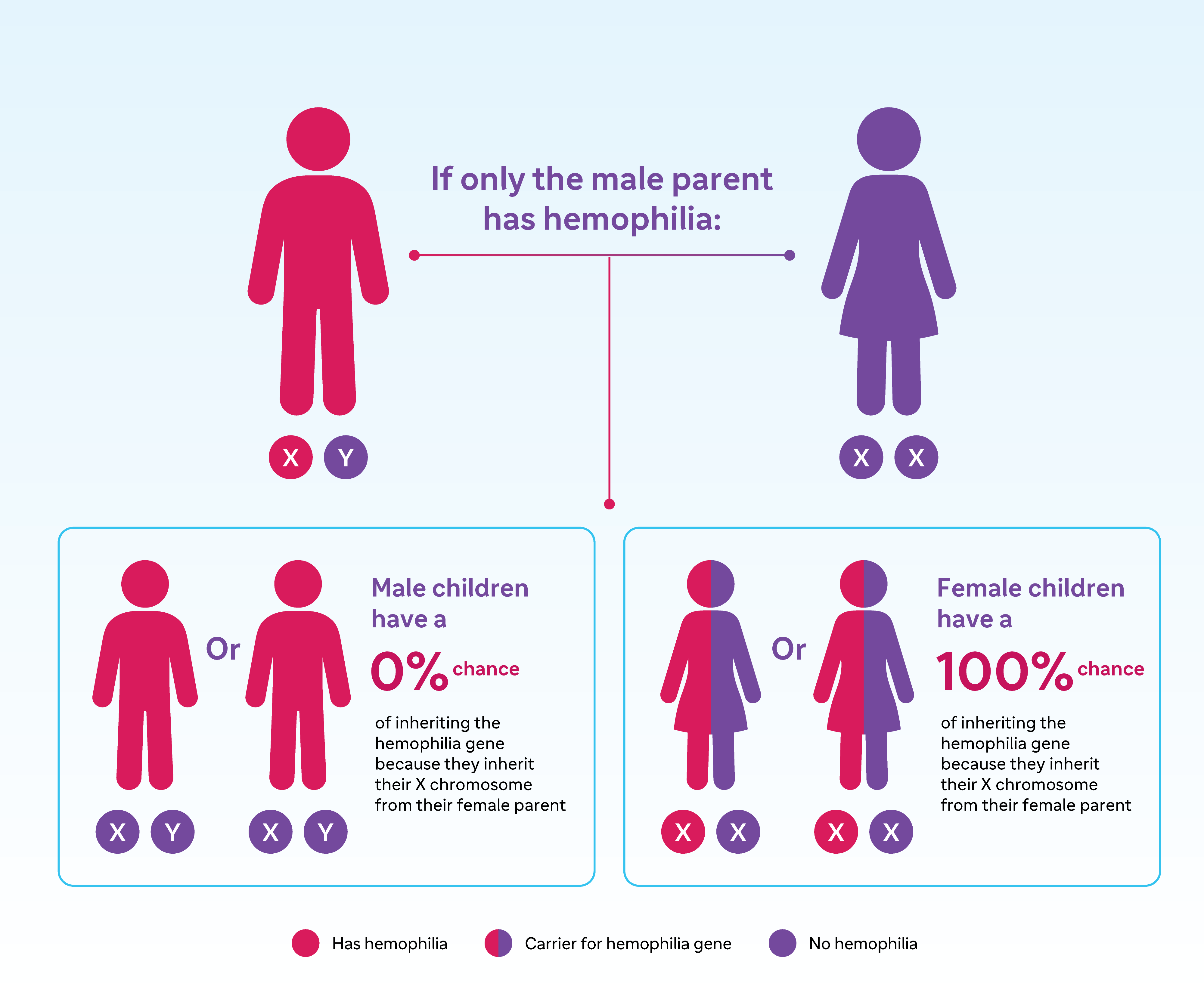 Hemophilia inheritance for male child and female child if only the male parent has hemophilia. 0% for son; 100% for daughter