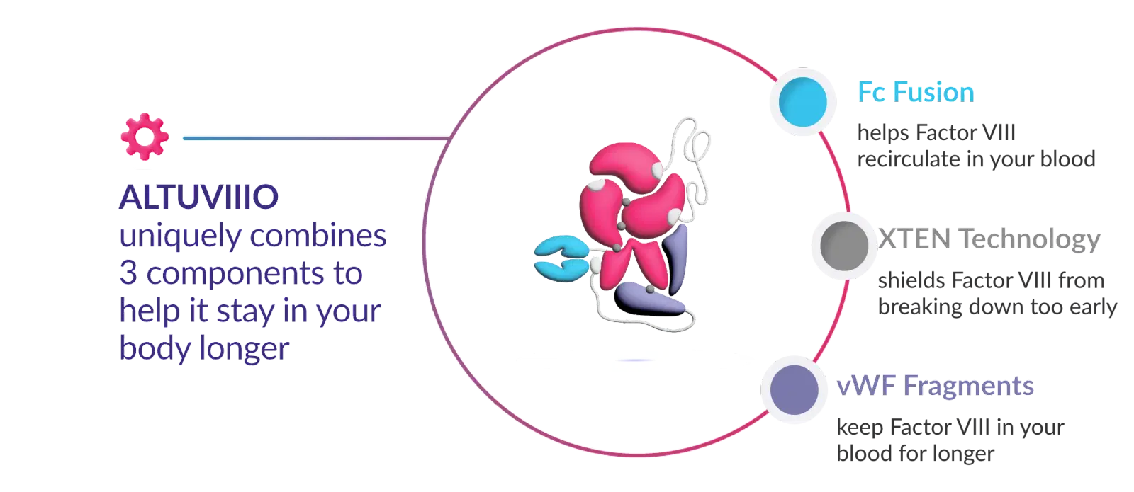Infographic shows how ALTUVIIIO combines 3 components to help keep factor levels higher in the body for longer. Fc Fusion helps Factor VIII recirculate in your blood. XTEN Technology shields Factor VIII from breaking down too early. vWF Fragments keeps Factor VIII in your blood for longer.